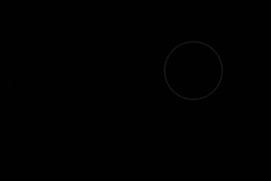 Fannybachelet062002 giphygifmaker giphygifmakermobile art noir GIF