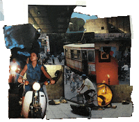 CokCoq we gifollage cokcoq Sticker