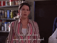 season 3 netflix GIF by Gilmore Girls 