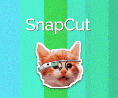 glasshole kitty GIF by Product Hunt
