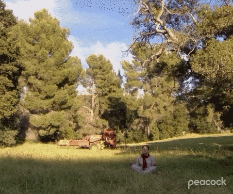 wight Schrute meditates in a grass field