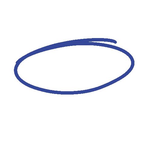 niyustudio giphyupload blue circle line Sticker