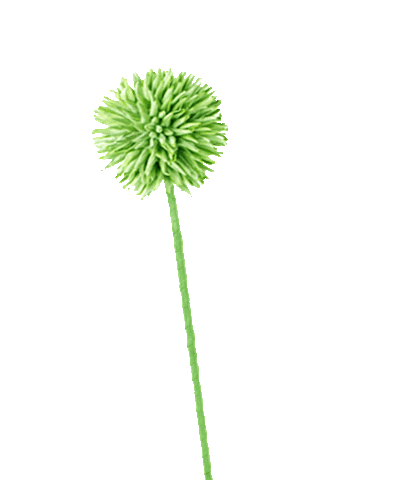 Flower Oerrr Sticker by Natuurmonumenten