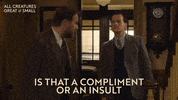 Insult Compliment GIF by All Creatures Great And Small