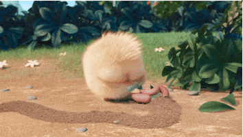 the angry birds movie bird GIF by Angry Birds