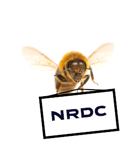 Activism Sticker by NRDC