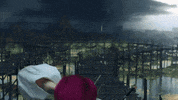 Dave Meyers GIF by P!NK