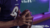 Football Celebrate GIF by Baltimore Ravens