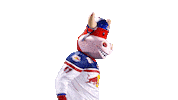 Rob Ice Hockey Sticker by EC Red Bull Salzburg