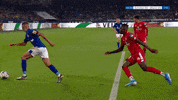 Football Soccer GIF by FC Schalke 04