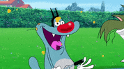 cat what GIF by Oggy and the Cockroaches