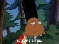 hey arnold nickelodeon GIF