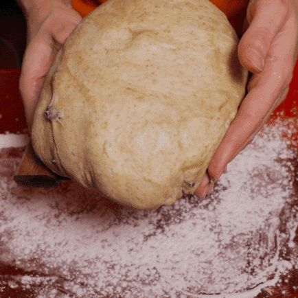 sourdoughdisco disco sourdough GIF