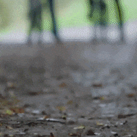 Legacy Emanet GIF by Eccho Rights