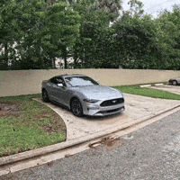 Mustang Moka GIF