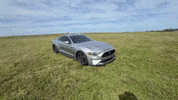 Mustang Moka GIF