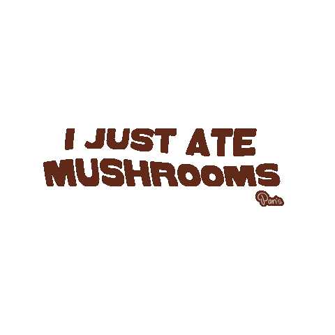 pansmushroomjerky shrooms mushrooms pans mushroom jerky i just ate mushrooms Sticker