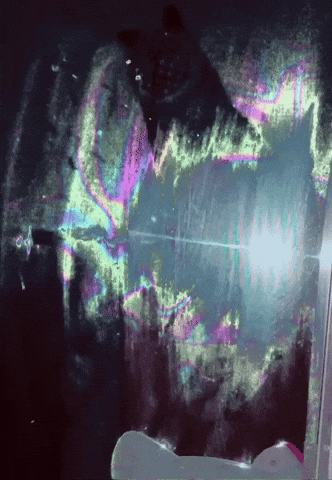 GIF by ellaknor