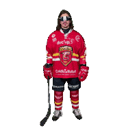 Goal Hockey Sticker by meudonhockeyclub
