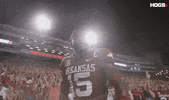 College Pig GIF by Hogs+