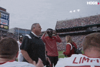 College Pig GIF by Hogs+