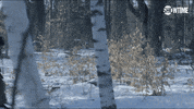 TV gif. Michael C. Hall as Dexter Morgan in Dexter runs through a snowy forest with a rifle under his arm. He appears panicked and afraid.