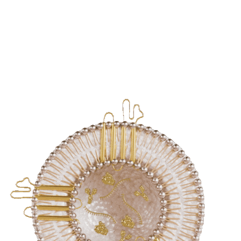 Platedskinscience giphyupload plated plated skin science Sticker