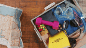 Road Trip Suitcase GIF by Graduate Hotels