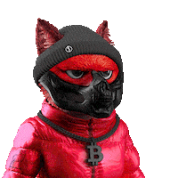 AnonymousFoxNFT eth nfts anonymous opensea Sticker