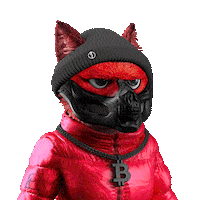 AnonymousFoxNFT crypto nfts anonymous opensea Sticker