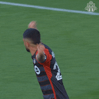 Bmo Field Football GIF by Toronto FC