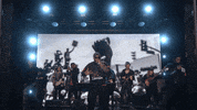 Tonight Show Singing GIF by The Tonight Show Starring Jimmy Fallon
