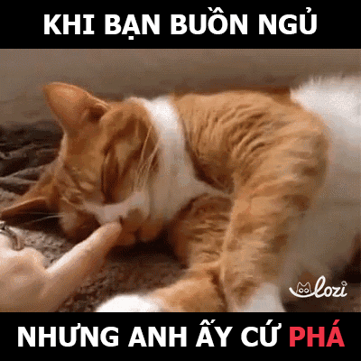 GIF by Lozi Singapore Co.