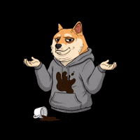 Shiba Inu What GIF by Doge Pound