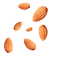 Vegan Sticker by Kite Hill