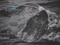 You Can Wow GIF by FranchiseONE.de