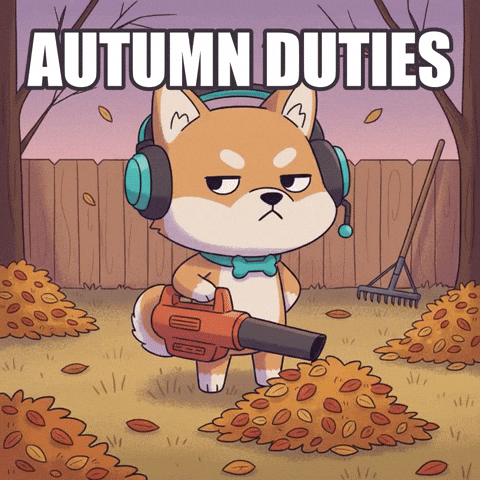 Happy Its Fall GIF by WUFFI