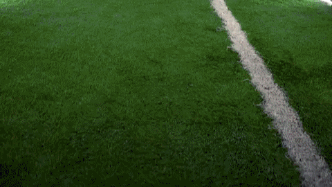 Toledo Football GIF by Toledo Rockets