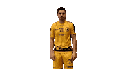 Point Ante Sticker by Bregenz Handball