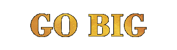 Go Big New York Sticker by Def Jam Recordings