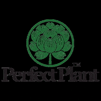 perfectplanthempco hemp hemp company perfect plant perfectplant GIF