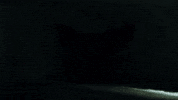 Jake GIF by ENHYPEN