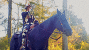 Horse Country GIF by Damez