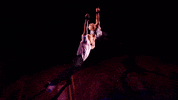 soar GIF by Paramour on Broadway
