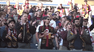 Valour Fc Canpl GIF by Red River Rising