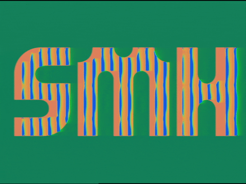 Art Smh GIF