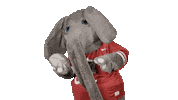 Crimson Tide Ua Sticker by The University of Alabama