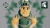 College Sports Michigan GIF by College Colors Day