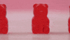 GIF by evite