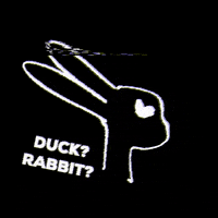 Joy8 rabbit duck hand drawn philosophy GIF